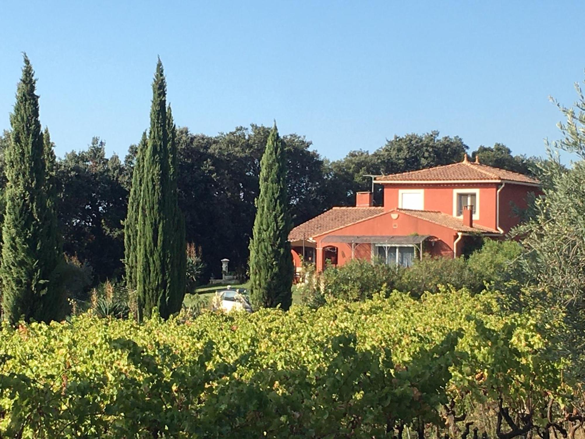 Domaine Des Lavarines Morieres-les-Avignon Eksteriør bilde